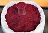 Sumac Extract